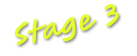 Stage 3